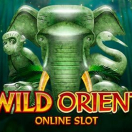 Wild Orient